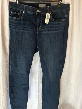 Torrid Jeans